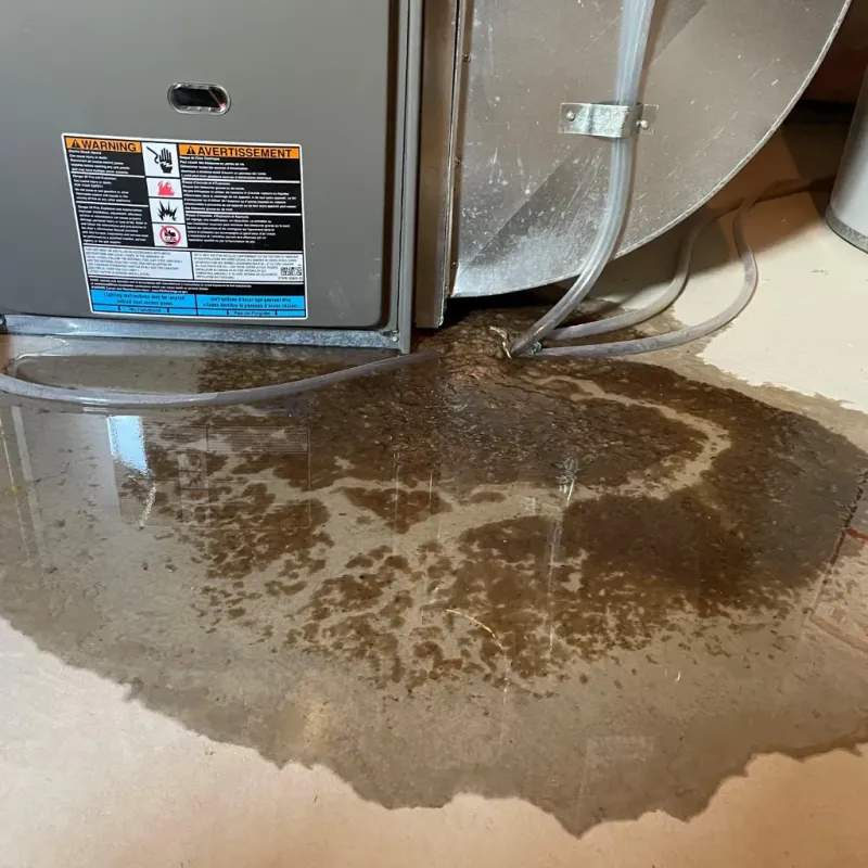 Appliance Leak Cleanup in Barstow Heights, CA